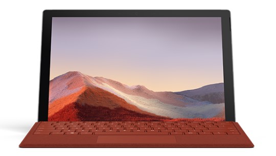 兴山清洁和维护 Surface